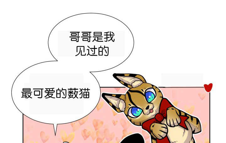 第52章：我警告你27