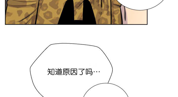 第57章：见不到了45