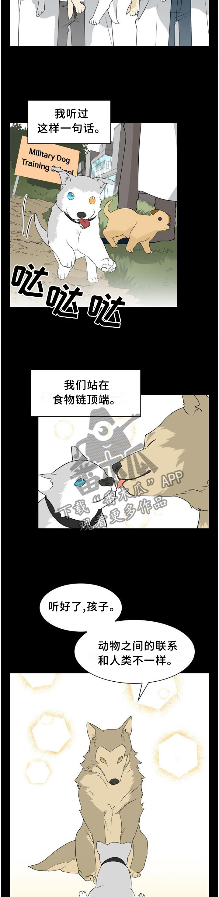 第112章：【第二季】人类与动物的区别8