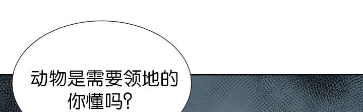 第52章：我警告你38