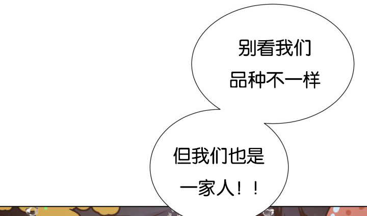 第26章：辛苦你了40