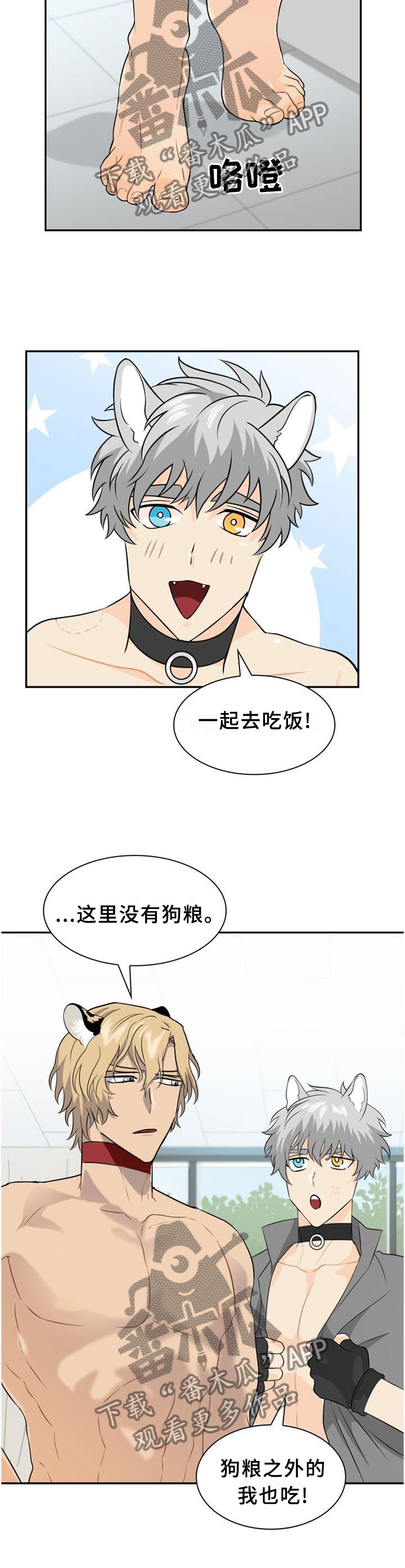 第109章：【第二季】心灵相通3