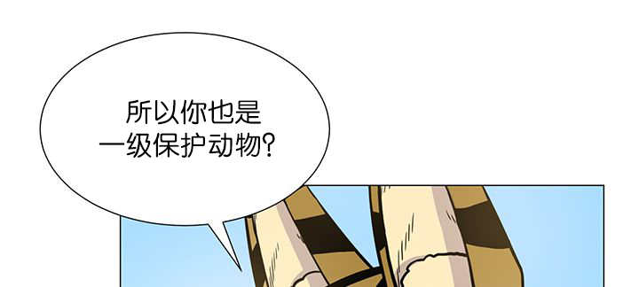第5章：那天失控11