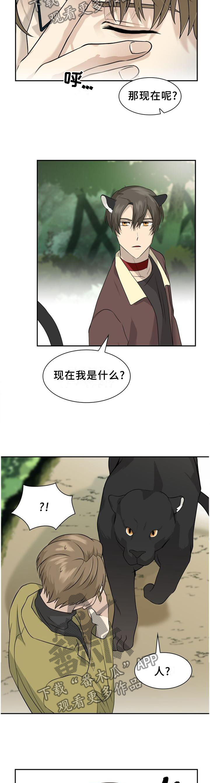 第107章：【第二季】处理伤口2