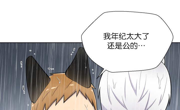 第61章：想清楚了33