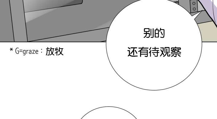 第40章：消失不见43