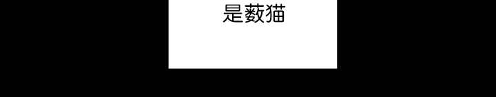 第68章：想再见他85