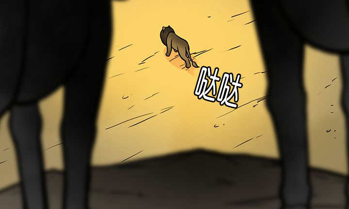 第19章：不会放过33