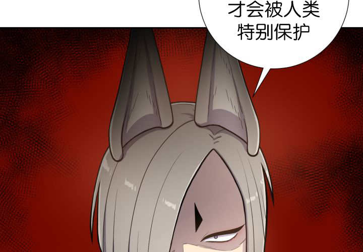 第81章：要去哪里37