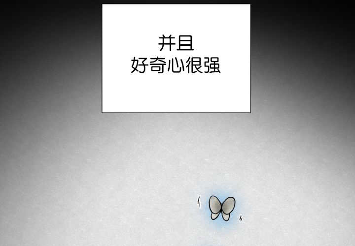 第53章：确认领地6