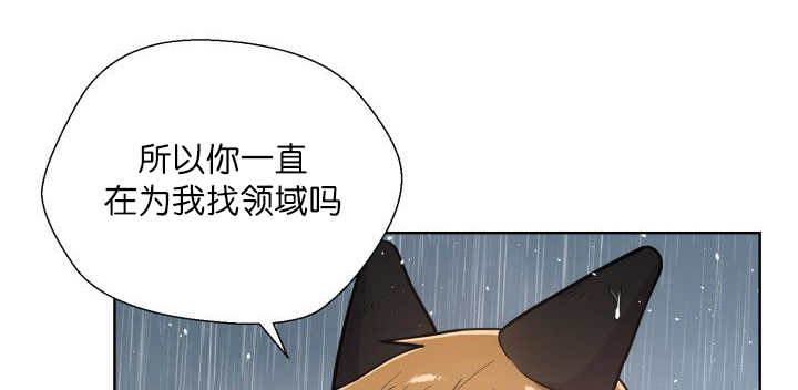 第62章：怕弄疼我0
