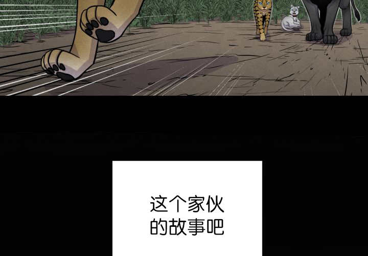 第53章：确认领地38