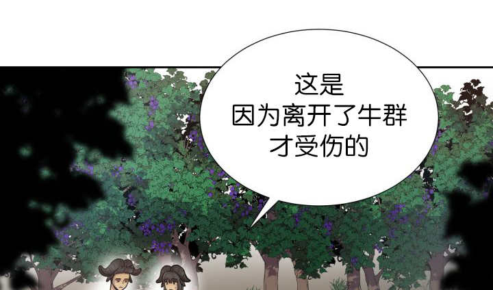 第79章：有人关心23