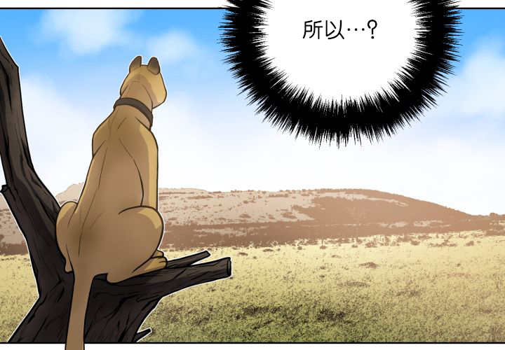 第58章：什么意义1