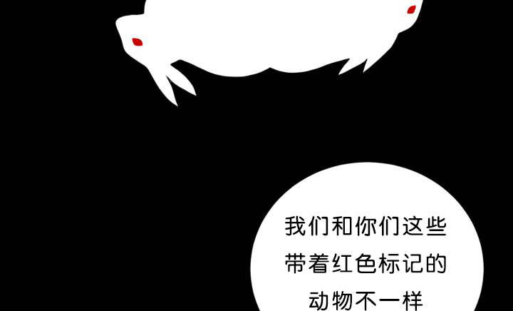 第39章：你还好吧11