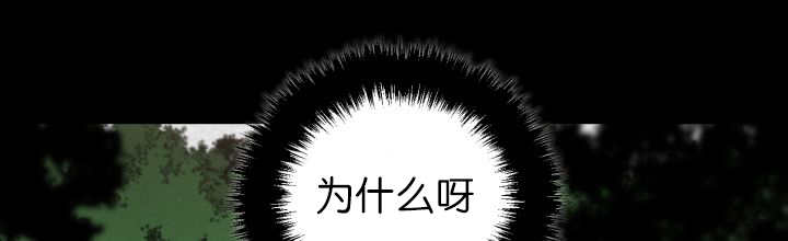 第78章：傲娇小熊猫40