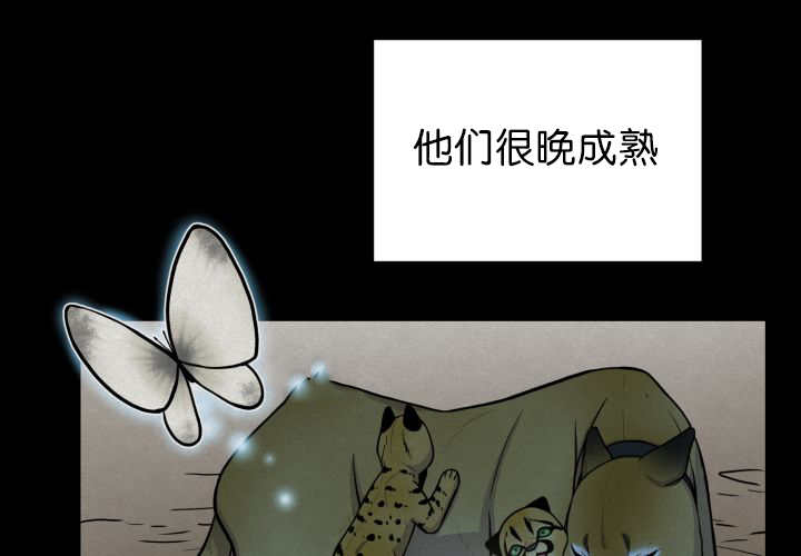 第53章：确认领地4
