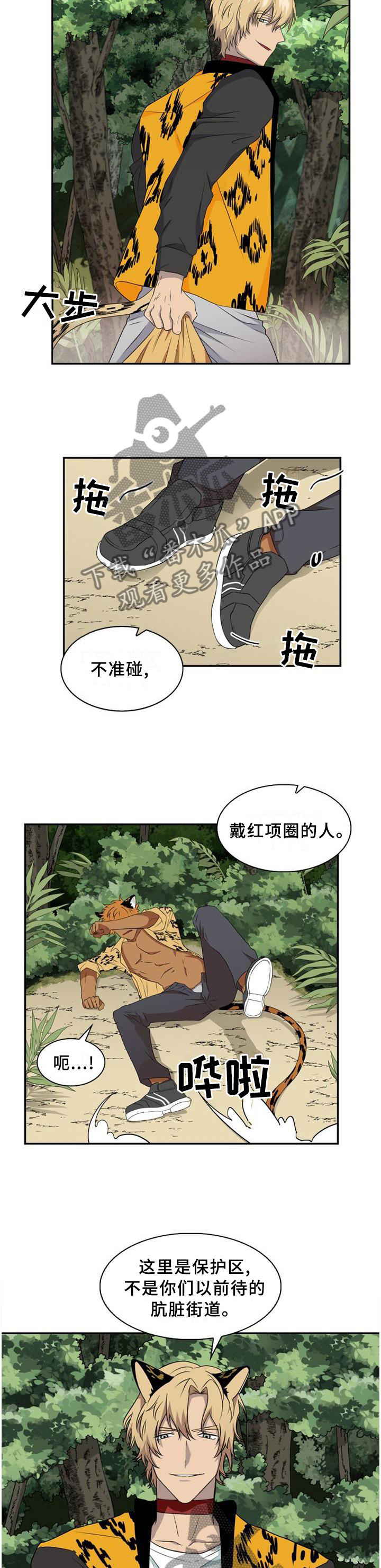 第95章：【第二季】我们是什么?5