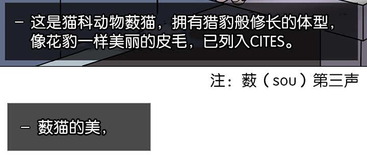 第1章：好好表现7