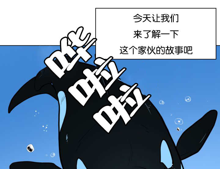第24章：再来一次46