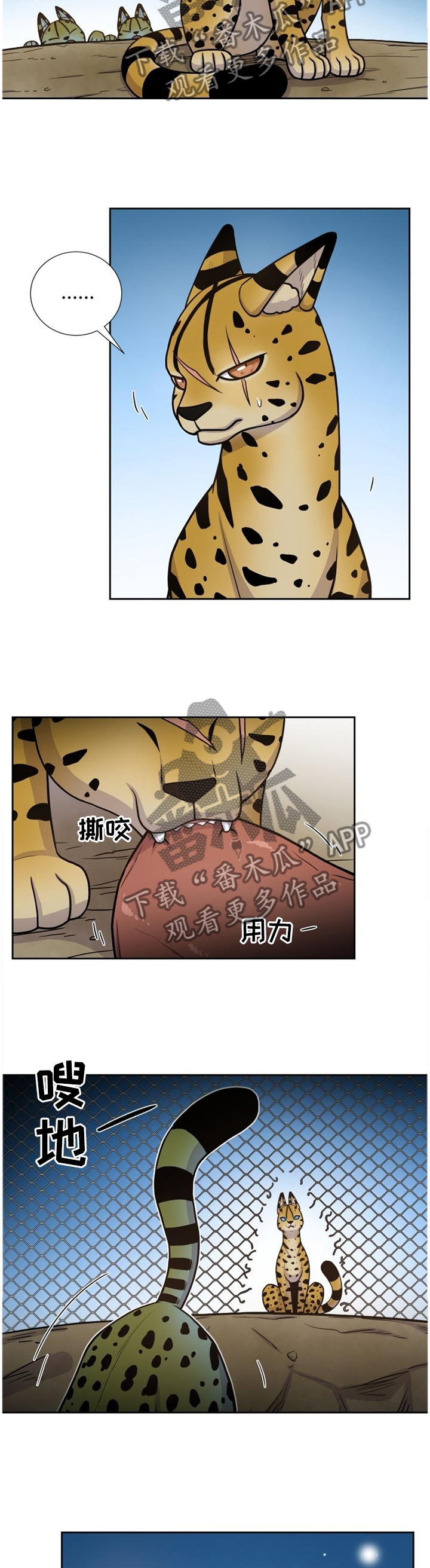 第88章：穿过4