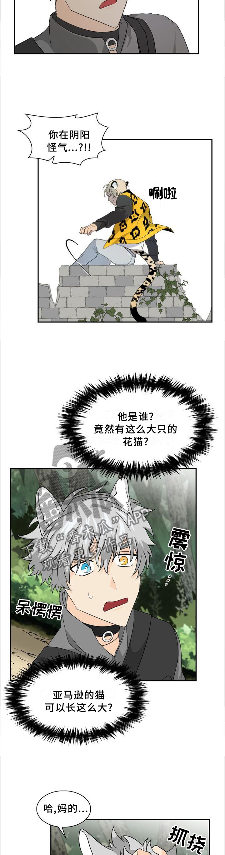 第98章：【第二季】追逐7