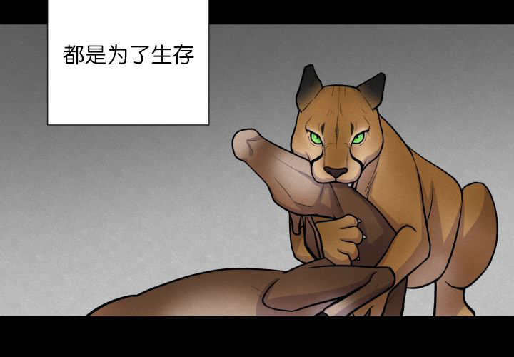 第58章：什么意义49
