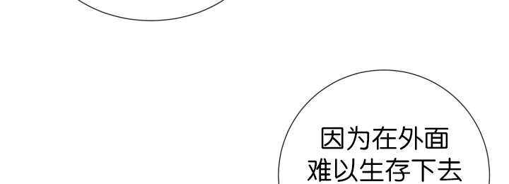 第81章：要去哪里36