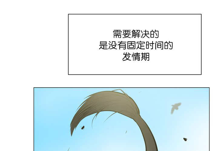 第12章：三天一次0