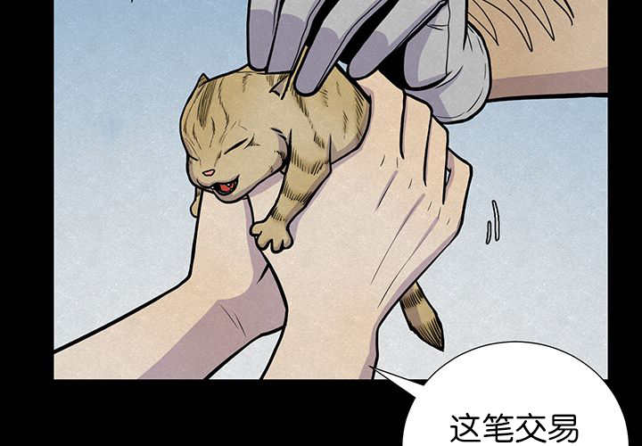 第6章：生出宝宝27