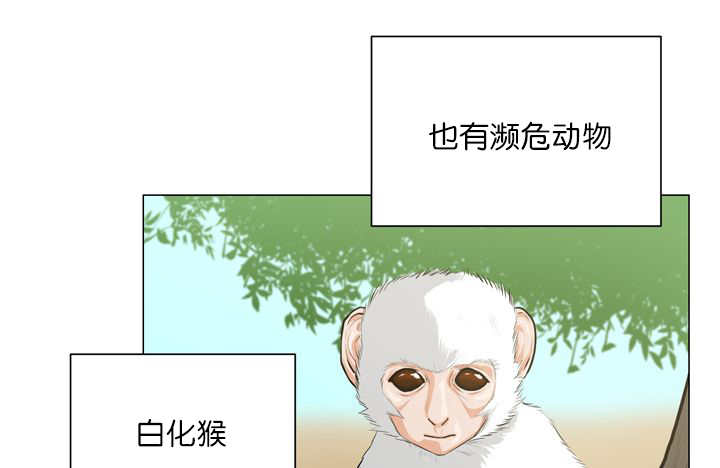 第11章：牺牲自由45