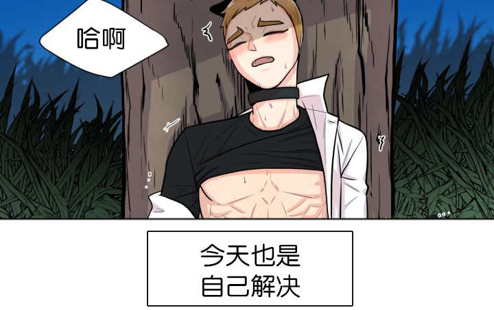 第53章：确认领地68