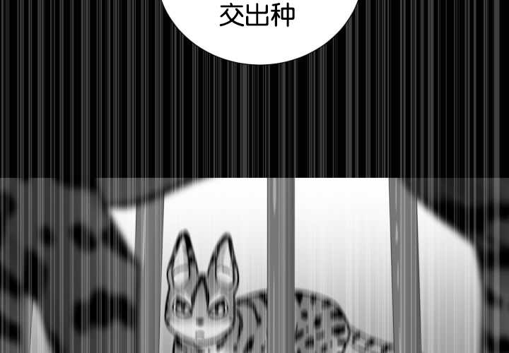 第49章：你听我说14