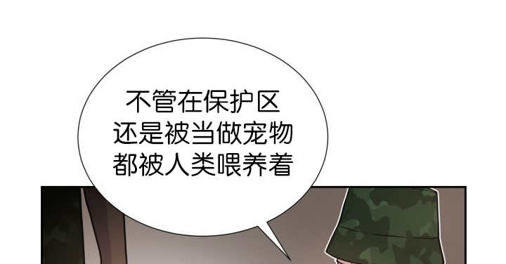第81章：要去哪里17