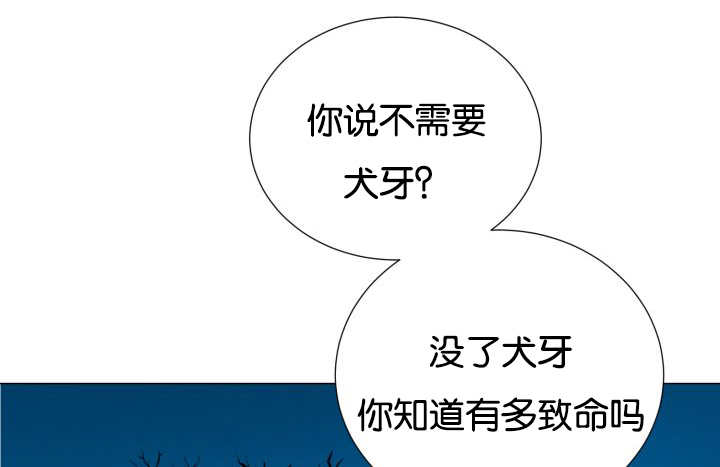 第48章：失去犬牙71