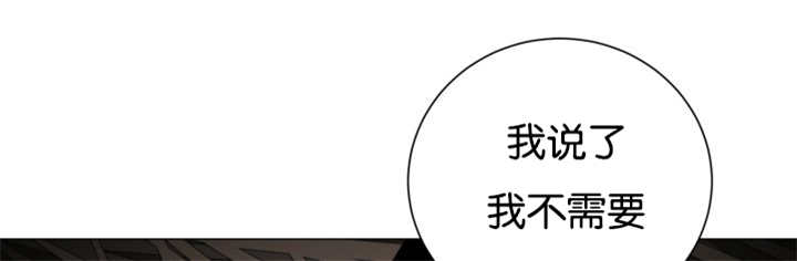 第37章：我喜欢他45
