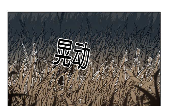 第85章：悄声无息20