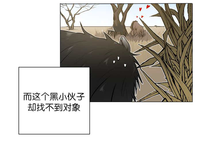 第12章：三天一次5