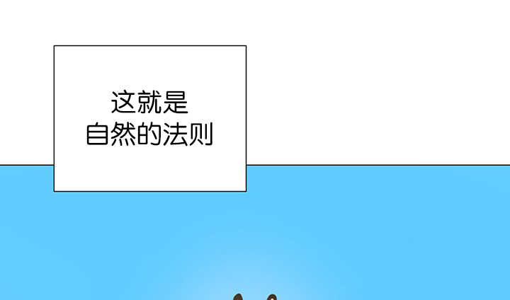 第11章：牺牲自由30