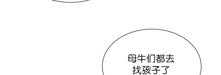 第19章：不会放过41
