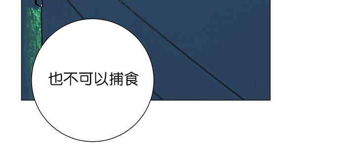第2章：吃不下我36