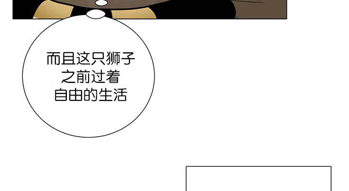第13章：我们一起41
