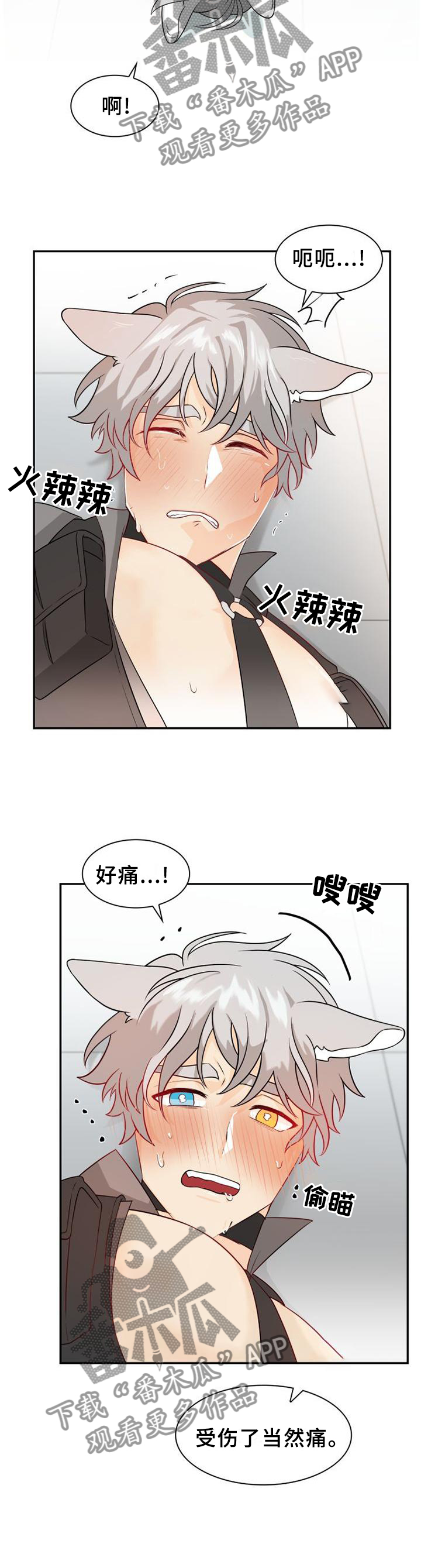 第107章：【第二季】处理伤口7