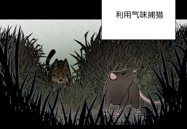 第58章：什么意义45