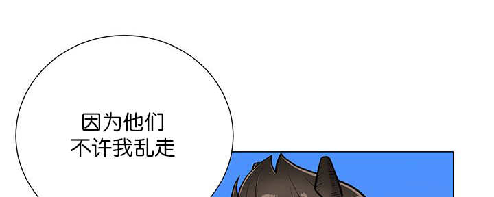 第19章：不会放过19