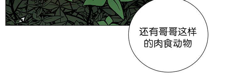 第19章：不会放过25