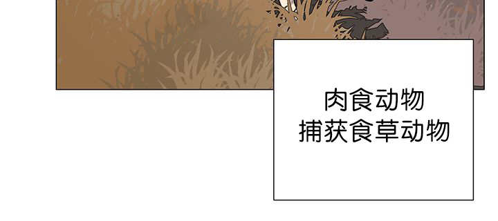 第11章：牺牲自由29