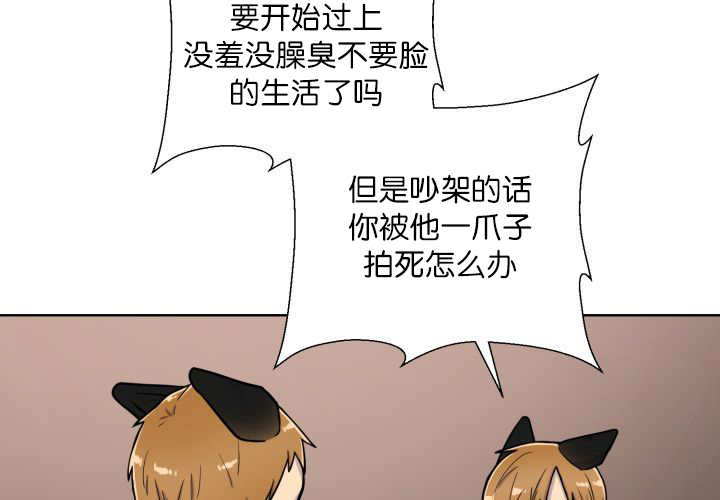 第62章：怕弄疼我23