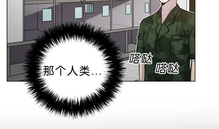 第39章：你还好吧66