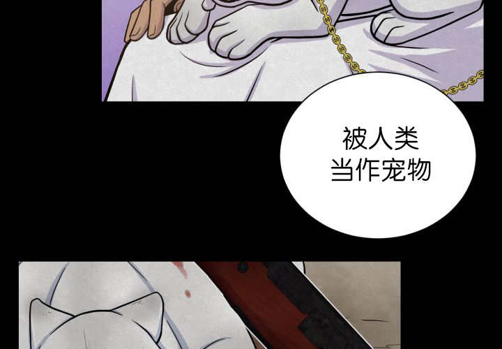 第87章：向往外界11